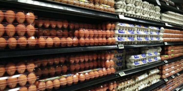 AIER’s Everyday Price Index Increases Nearly 1% in January 2023