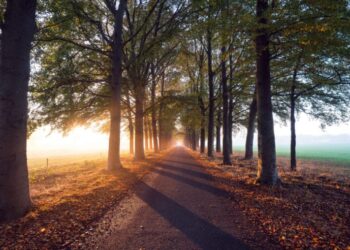 The Thin Line Between Tribalism and Human Flourishing