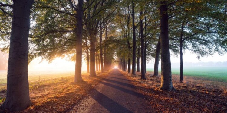 The Thin Line Between Tribalism and Human Flourishing