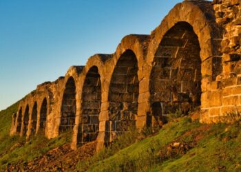 Forging Modernity or Freedom?