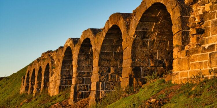 Forging Modernity or Freedom?