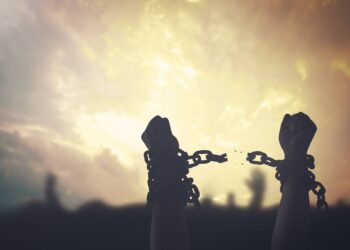 The History of Slavery You Probably Weren’t Taught in School