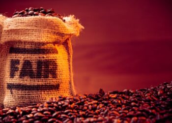 How Ethical Consumption Emboldens Certification Systems and Rent Seeking Agencies