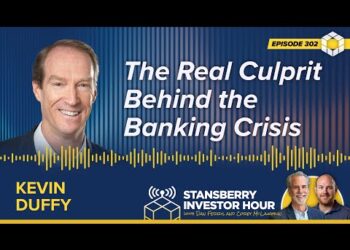 The Real Culprit Behind the Banking Crisis