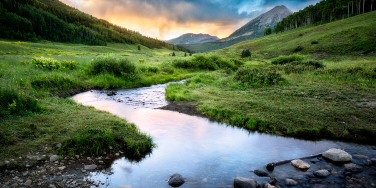 How Government Lost 15 Million Acres of Public Land in the United States