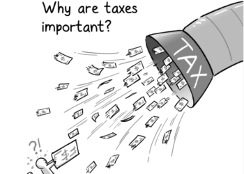Why Taxes Are Harmful: A Response to The Woke Salaryman