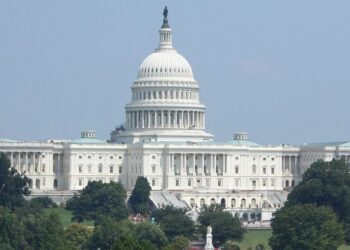 Regulatory Octopus Is Strangling Our Economy