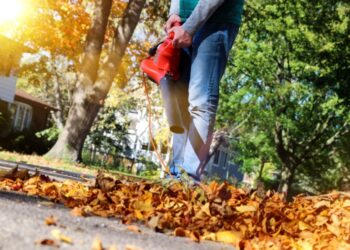 The Gas-Powered Banning Bandwagon: Why Politicians Should Leave Leaf Blowers Alone