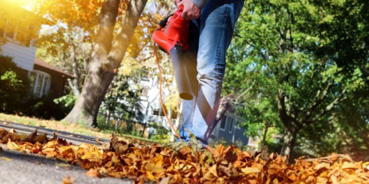The Gas-Powered Banning Bandwagon: Why Politicians Should Leave Leaf Blowers Alone