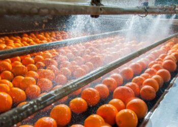 Economists’ Meaning of “Consumption”