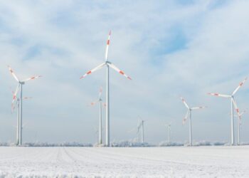 Greta Thunberg’s War Against Wind Farms