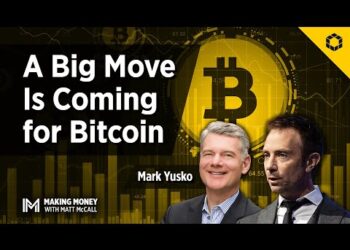 What the Fiat Currency Crisis Is Telling Us About Bitcoin With Mark Yusko