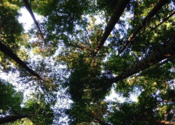 Socialism Versus Nature