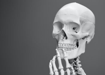 The Problem With Pain
