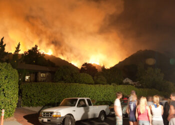 The Real Reason State Farm Won’t Sell Home Insurance in California Anymore