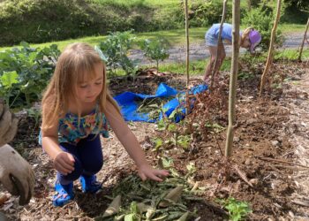 A Rural, Waldorf Microschool Gets Shut Down By State Regulators