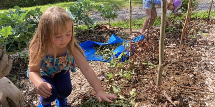 A Rural, Waldorf Microschool Gets Shut Down By State Regulators