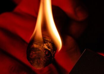 Will the Biden Administration Ban Cigars?