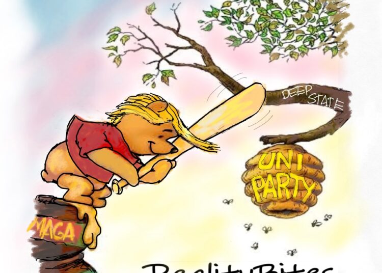 Pooh Hits the Fan