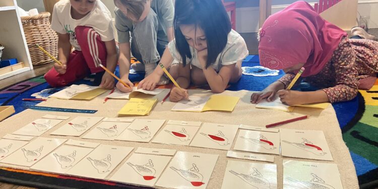 Gallup Poll Reveals Americans’ Plummeting Confidence in Public Schools