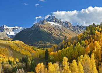 Freedom in Colorado