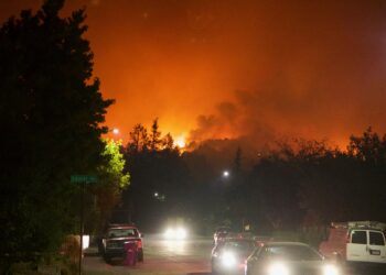 Maui and Michigan: A Tale of Two Fires