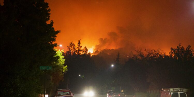 Maui and Michigan: A Tale of Two Fires