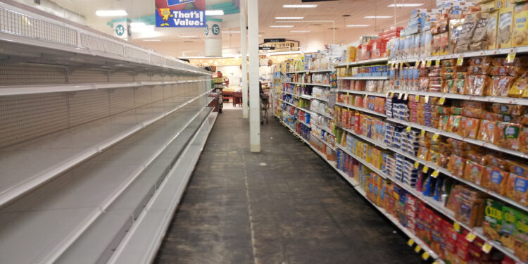 The Problem with a Chicago Municipal Grocery Store