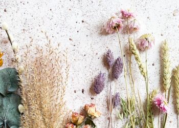 When Herbal Medicine Becomes Mainstream