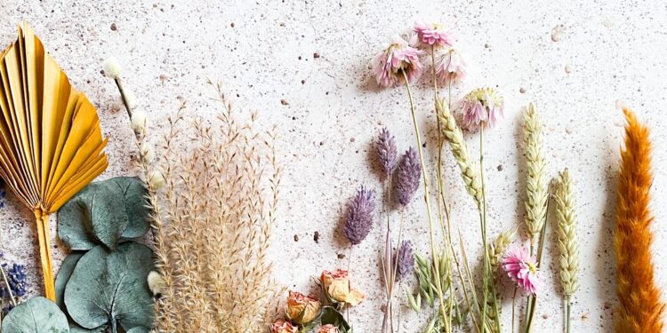 When Herbal Medicine Becomes Mainstream