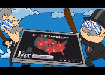 Debunkers DESTROY VOX: Tax Payer Funding for AB*RTION ?!?