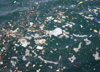 How Private Property Can Solve Ocean Pollution