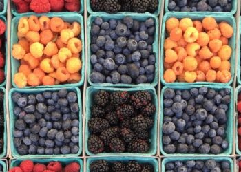 The Food Insecurity Lie