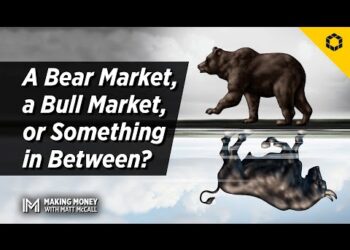A Bear Market, a Bull Market, or Something in Between?