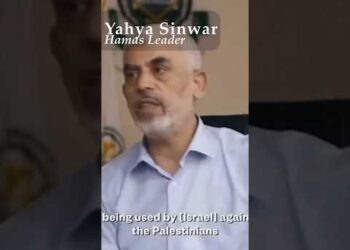 What is going on? #palestine #hamas #israel