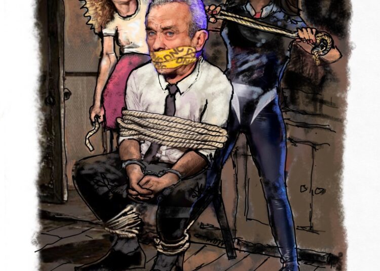 The Democrat Dominatrix