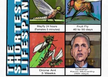 Nature’s Short Life Spans