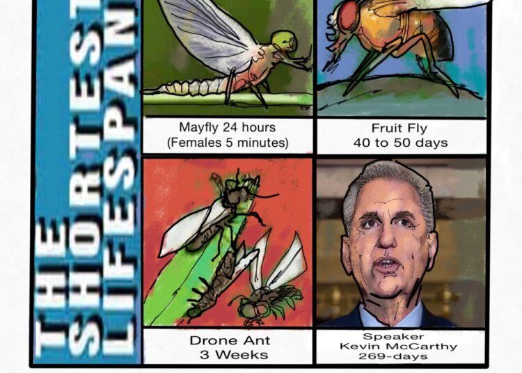 Nature’s Short Life Spans