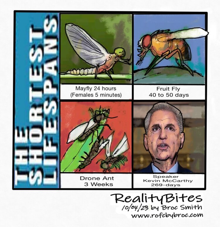 Nature’s Short Life Spans
