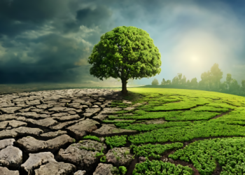 Conditions Are “Drier Than The Dust Bowl Years” In The Heartland Of America
