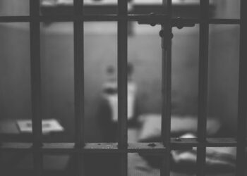 If We Don’t Start Locking Up The Criminals, We Are Literally Going To Have To Lock Up EVERYTHING