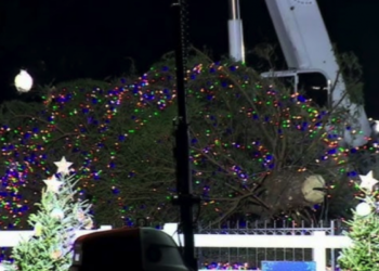 The Significance Of America’s Fallen National Christmas Tree