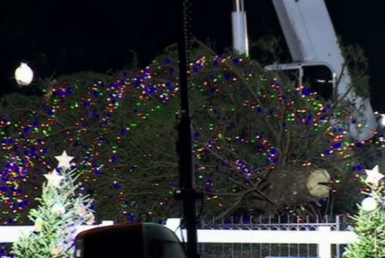 The Significance Of America’s Fallen National Christmas Tree