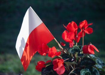 Lawrence W. Reed: Statement to the President of Poland