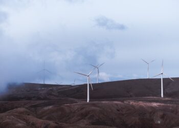 Green Groups Are No Longer Promoting a Cleaner Environment