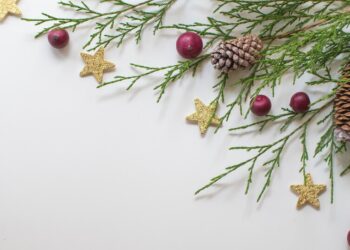 Maintaining Wellness During the Holiday Season