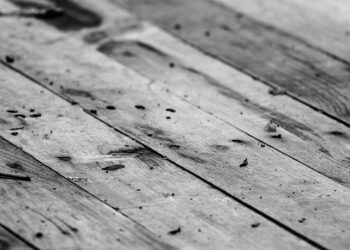 The Tyranny of the Phillips Curve