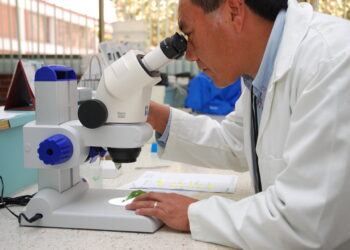 Rare Diseases May Be Unprofitable to Treat, but That Doesn’t Mean Government Intervention Will Help