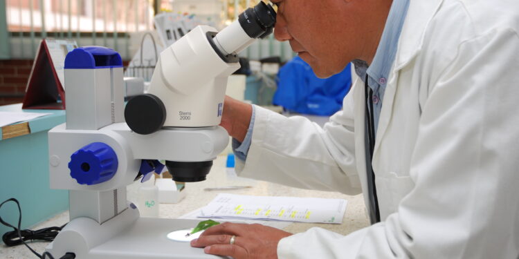 Rare Diseases May Be Unprofitable to Treat, but That Doesn’t Mean Government Intervention Will Help