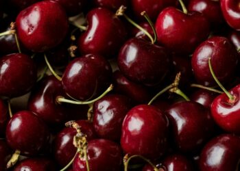 We Need to Find Our Way to Foods That Fight Disease